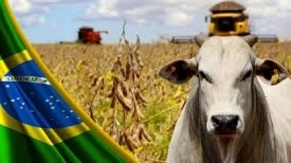 Ministério da Agricultura estima VBP de 2023 de R$ 1,179 tri, alta de 3,8%