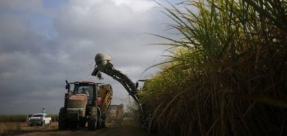 Cana: Moagem acumulada no Centro-Sul em 2023/24 sobe 16,76%