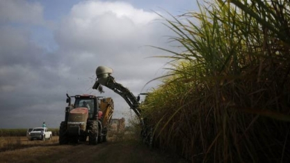Cana: Moagem acumulada no Centro-Sul em 2023/24 sobe 16,76%