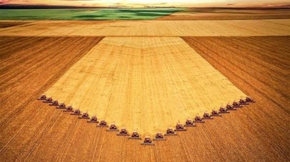 Reforma tributária: agronegócio tem dúvidas sobre a proposta