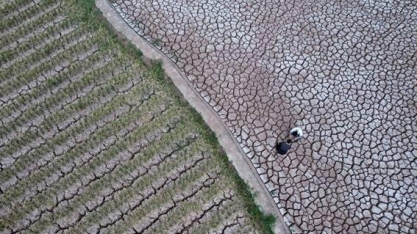 El Niño deve trazer devastação sem precedentes para economia mundial
