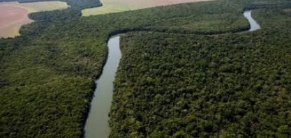  Desmatamento está no modelo de crescimento do Brasil, diz economista