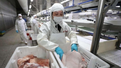 Abate de suínos no 1º tri/2023 registra melhor 1º tri da série desde 1997