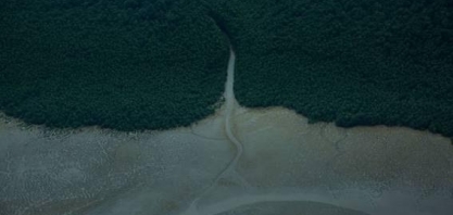 Empresários e membros do Conselhão pedem a Lula prazo para fim do petróleo