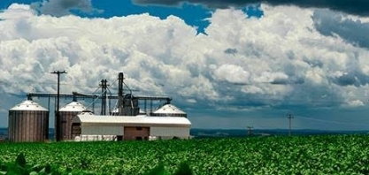 Em maio, preços agropecuários desabam