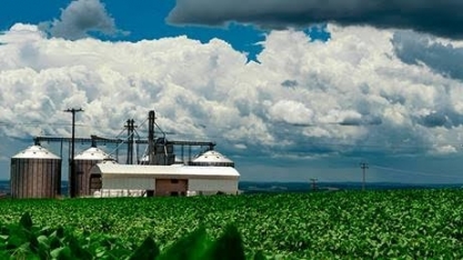 Em maio, preços agropecuários desabam