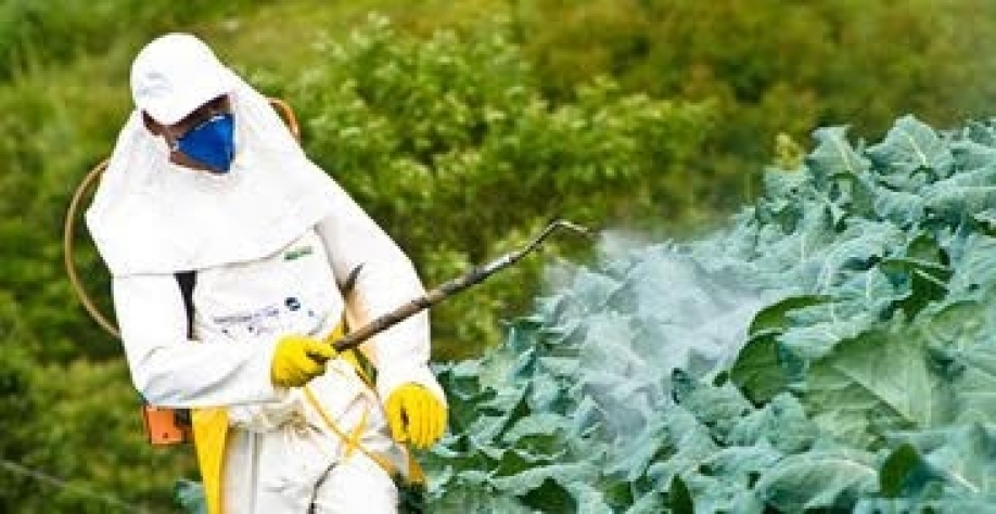 Lula afirma que é necessário ser racional para manter agricultura brasileira competitiva. Foto: Alf Ribeiro / Estadão