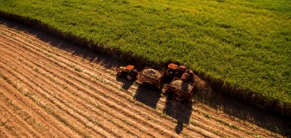 Cana/CTC: Produtividade do Centro-Sul aumenta 19% no ciclo 2023/24 