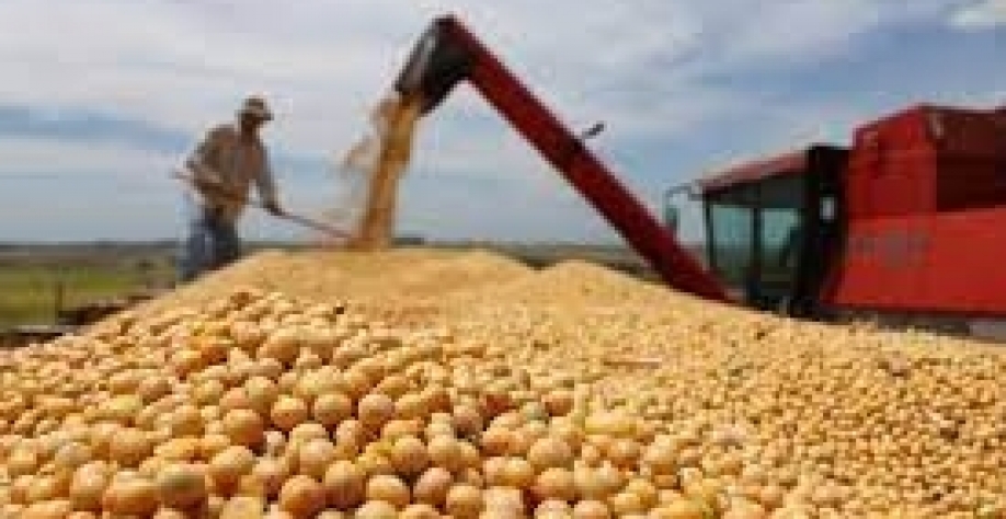 Exportações do agro batem recorde no 1º sem. com receita de US$ 82,8 bi