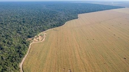 “Ogronegócio” para Marina Silva, ruralistas visam melhorar imagem