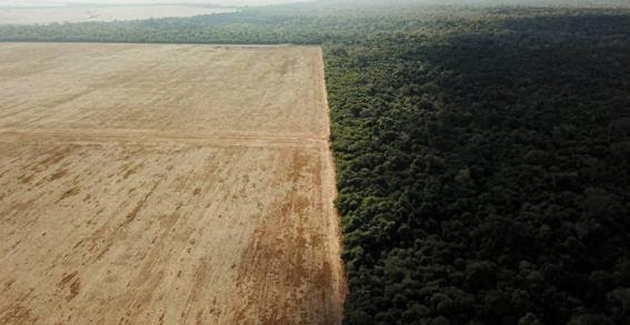Desmatamento na fronteira entre a Amazônia e o Cerrado em Nova Xavantina (MT) - Amanda Perobelli - 28.jul.2021/Reuters