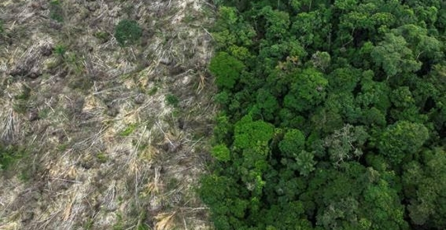 Imagem aérea registrada durante ação de fiscalização mostra área desmatada na região de Uruara, no Pará - Ueslei Marcelino - 21.jan.2023/Reuters