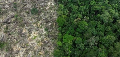 Desmatamento na Amazônia em junho volta a níveis pré-Bolsonaro