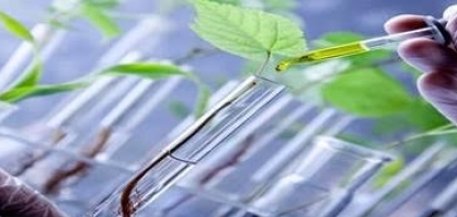 Edição genética e dados podem entregar mais comida e mais sustentabilidade