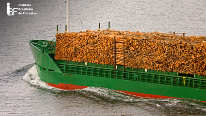 Exportação de madeira cai e compra de agrotóxicos recua
