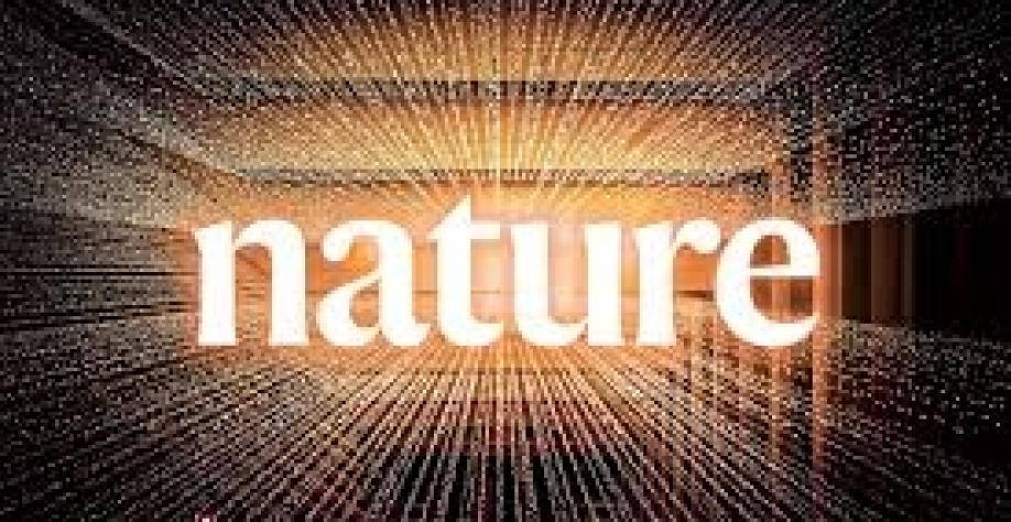 Modelos climáticos subestimam risco de colheitas ruins simultâneas