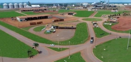 CerradinhoBio aprova investimento de R$ 289 mi para 1ª fábrica de açúcar