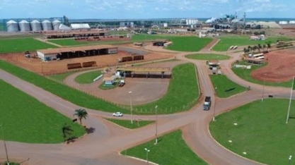 CerradinhoBio aprova investimento de R$ 289 mi para 1ª fábrica de açúcar