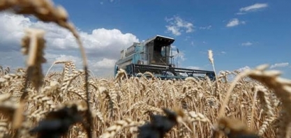 Trigo e milho disparam por clima nos EUA e aumento da tensão no Mar Negro    