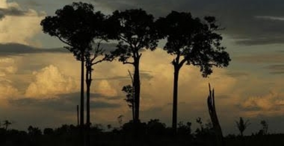 O que ONGs fazem, de verdade, é manter em estado de segregação a população indígena, como animais num zoológico'. Foto Dida Sampaio/Estadão