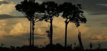 Brasil perdeu soberania na Amazônia pra ONGs com cumplicidade do governo