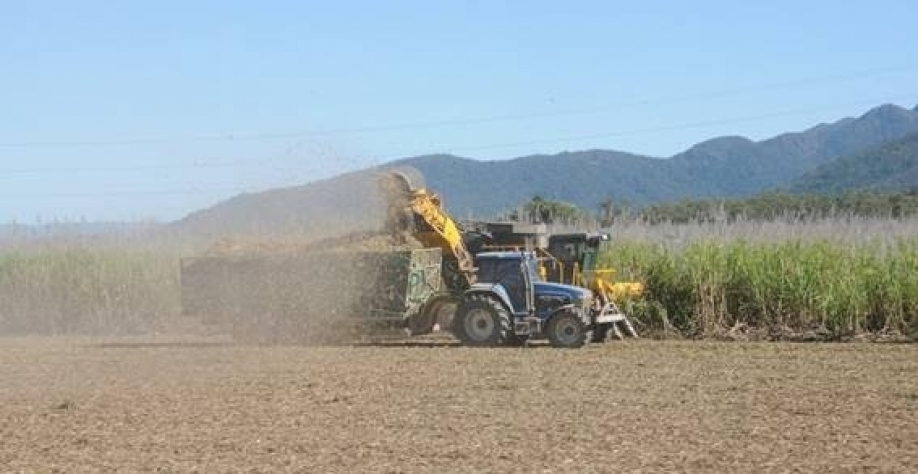 Safra 2023/24: um teste de stress para o setor sucroenergético