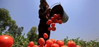 O impacto do El Niño na produção global de alimentos