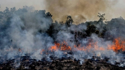  Amazônia e Cerrado registram em junho maior número de queimadas desde 2007