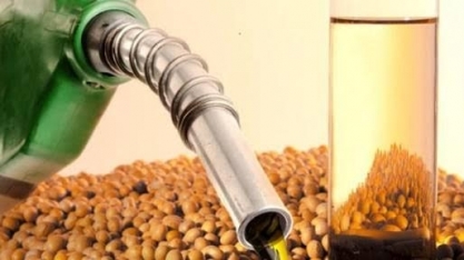 PL Combustível do Futuro coloca Brasil em destaque global