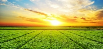 Agro eleva PIB,renda e população,e desigualdade cai onde setor avança mais