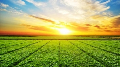 Agro eleva PIB,renda e população,e desigualdade cai onde setor avança mais