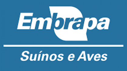 Suínos e Aves: Custo de produção cai em junho ante maio 