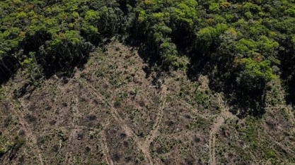El Niño vem aí, com risco de tempo ruim para a floresta e preços de comida