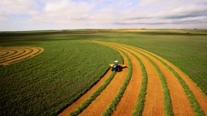 10ª Estimativa da safra 2022/23 indica recorde de 317,57 mi/t, + 16,5%