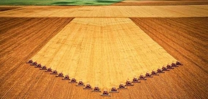 Brasil deve produzir 390 mi de t de grãos em 10 anos, crescimento de 24,1%