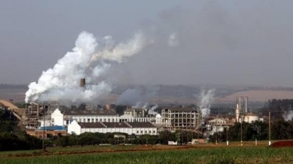 Usinas miram exportações em meio à incertezas e açúcar ‘salgado’