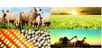 GO: Grãos redesenham economia e impulsionam desenvolvimento das cidades