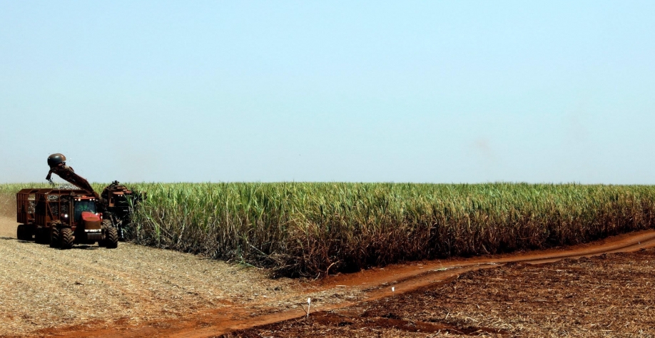 StoneX projeta para 2023/24 2ª maior produção de açúcar no Centro-Sul