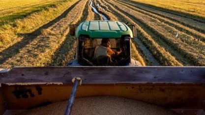 Controversa, agricultura familiar abastece boa parte do Brasil