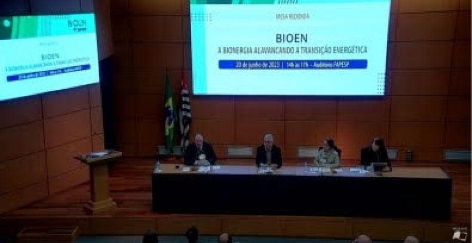 Avaliação foi feita por participantes da mesa-redonda “A bionergia alavancando a transição energética”, promovida pelo Programa FAPESP de Pesquisa em Bioenergia. Imagem reprodução