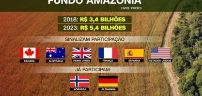 Promessa de R$ 3,2 bi ao Fundo Amazônia ainda não se viabilizou