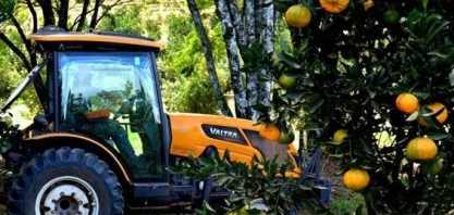 Laranja avança no Triângulo Mineiro, que já produz mais que a Flórida   