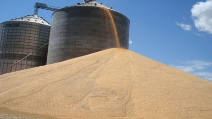 Safra cheia escancara vulnerabilidade da infraestrutura logística 