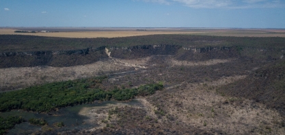 Por que o desmate cresce no cerrado e cai na Amazônia