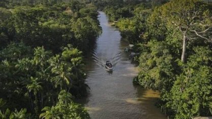 Falta de padronização dificulta chancela de negócios realmente verdes