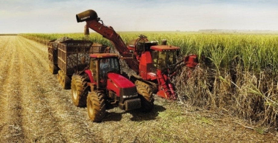 Açúcar: Análise Conjuntural Agromensal Julho/23 do Cepea/Esalq/USP