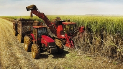Açúcar: Análise Conjuntural Agromensal Julho/23 do Cepea/Esalq/USP