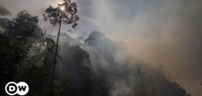 Estudo mostra como Bolsonaro elevou emissões na Amazônia