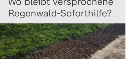 Cadê o dinheiro da Amazônia? Cadê Macron?, perguntam os próprios europeus