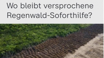 Cadê o dinheiro da Amazônia? Cadê Macron?, perguntam os próprios europeus